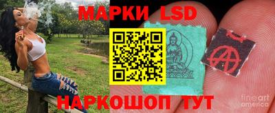 ГАЛЛЮЦИНОГЕННЫЕ ГРИБЫ Кулебаки