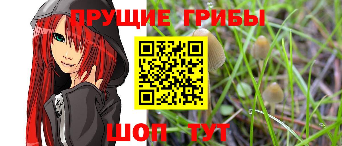 Галлюциногенные грибы MAGIC MUSHROOMS  Псилоцибиновые грибы Psilocybine cubensis  как найти наркотики  Ленинск-Кузнецкий  Вход с VPN 